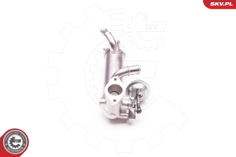 EGR Valve